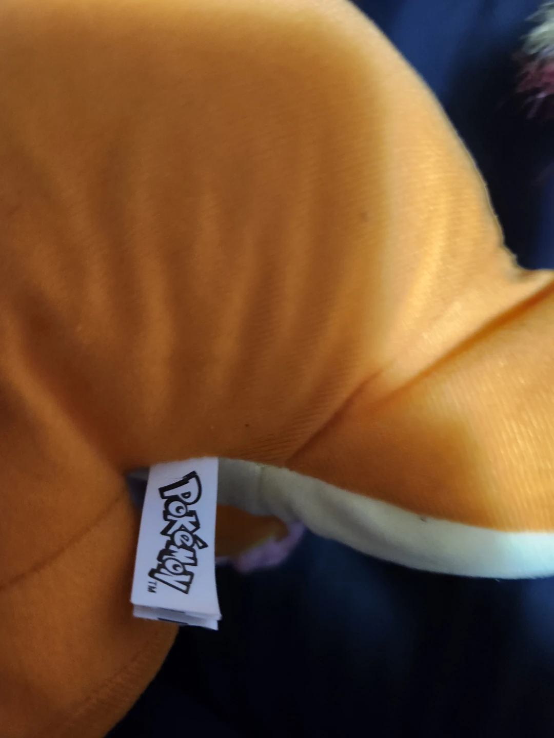 $20 pokemon - photo 3