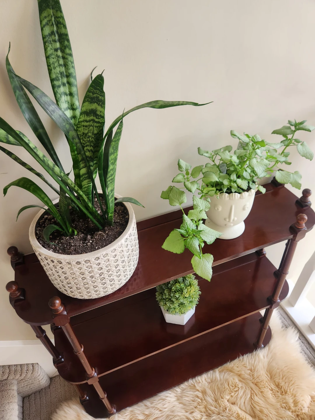 LARGE Dark Wood Tiered Shelf free standing OR wall shelf - photo 5