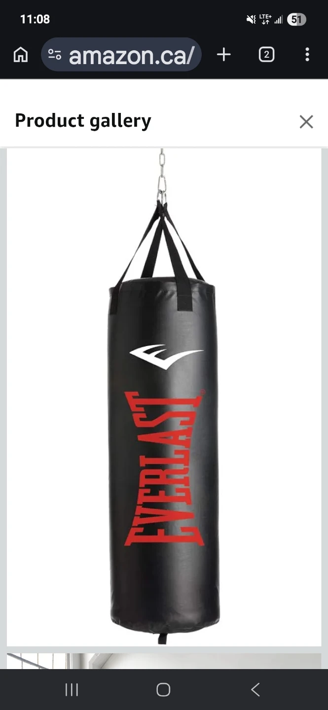 Everlast Punching Bag
