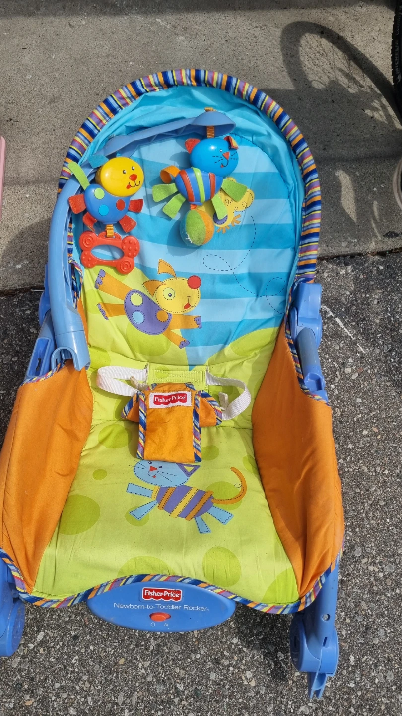 Fisher-Price Newborn-to-Toddler Rocker