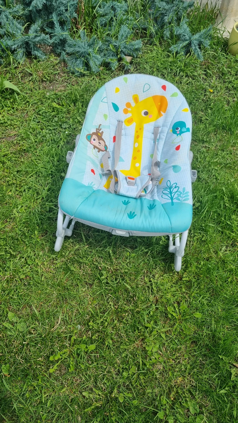 Fisher-Price Newborn-to-Toddler Rocker - photo 2