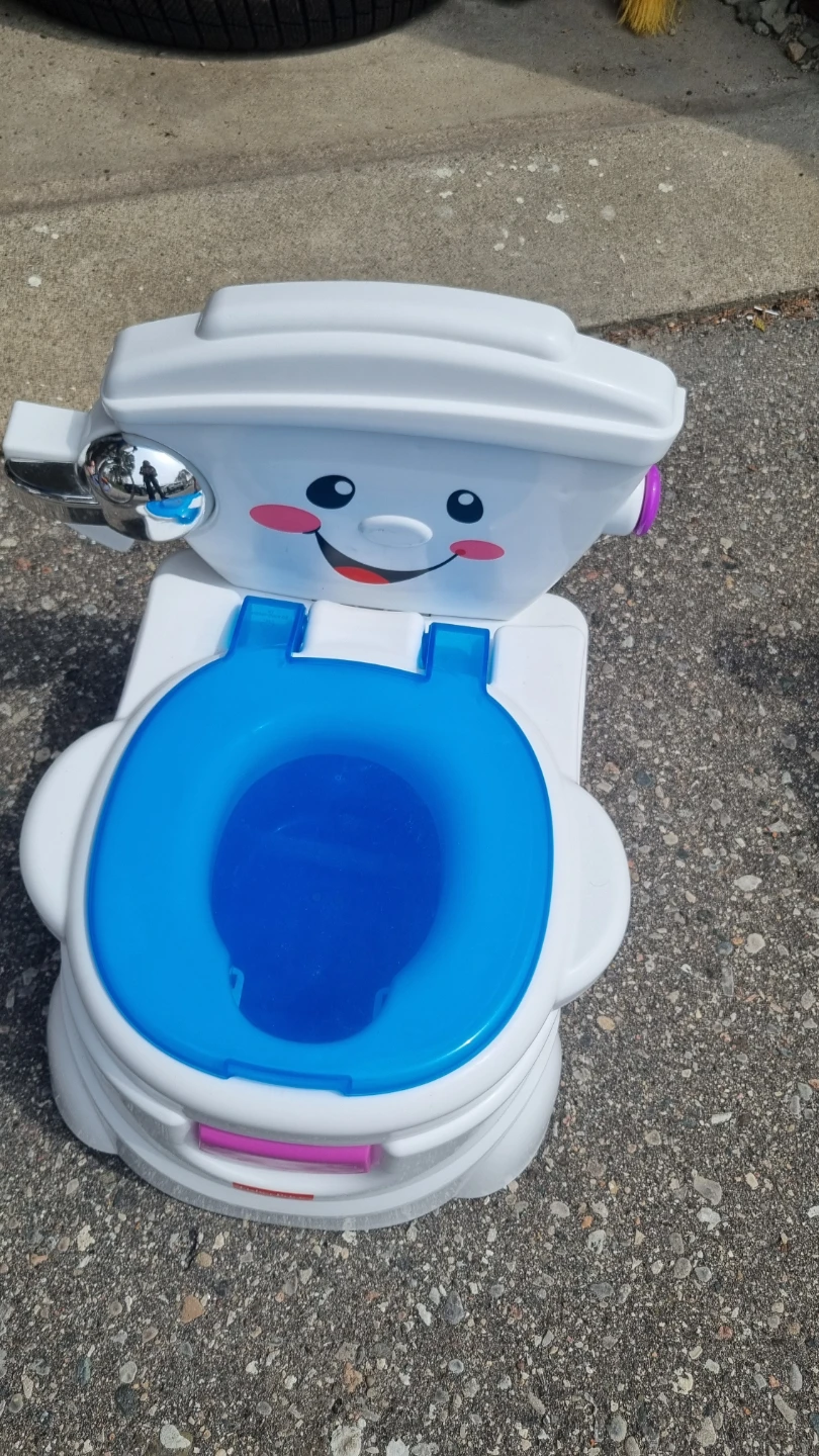 Fisher-Price Newborn-to-Toddler Rocker - photo 3