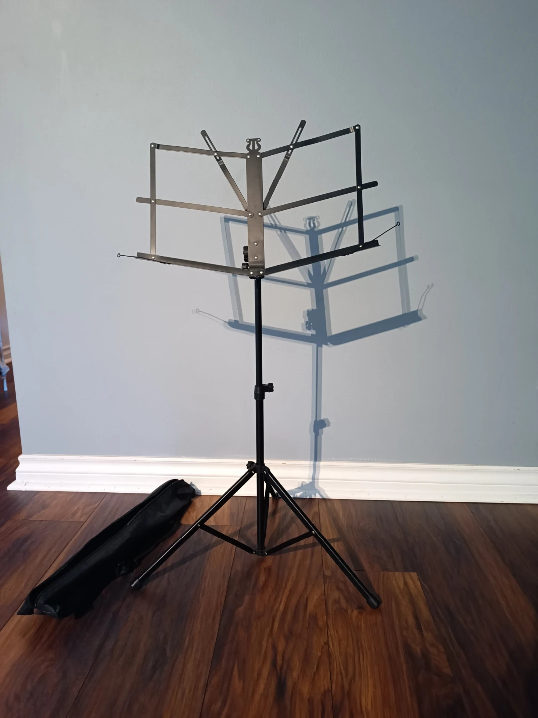Adjustable Music Stand with Carrying Bag