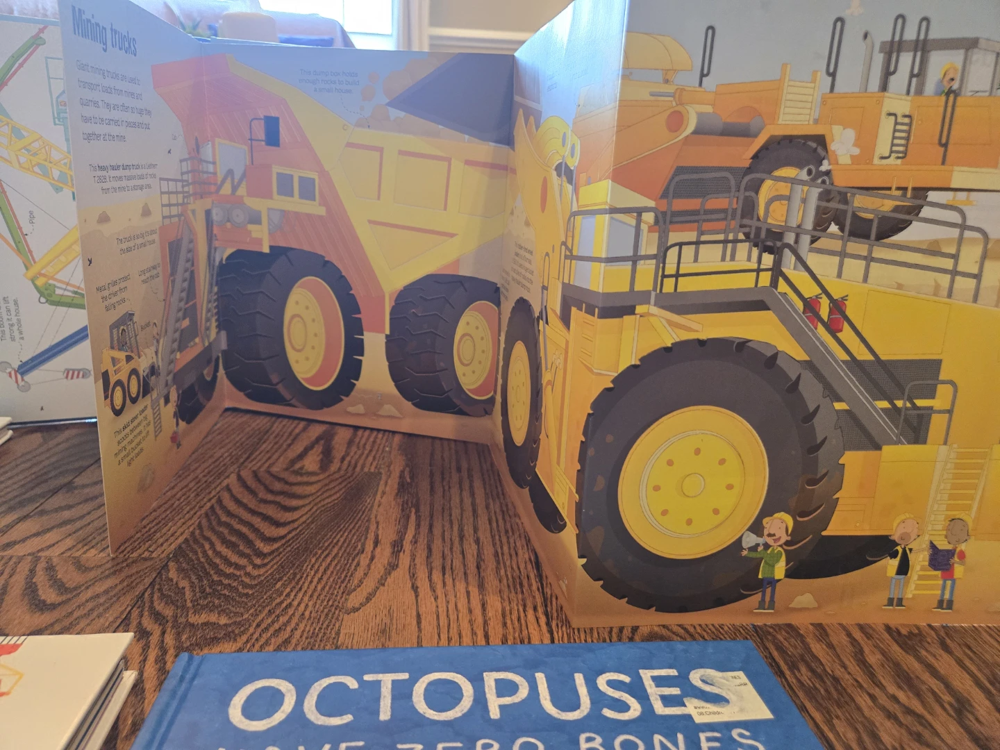 Usbourn collections & Pop-Up Books - photo 5
