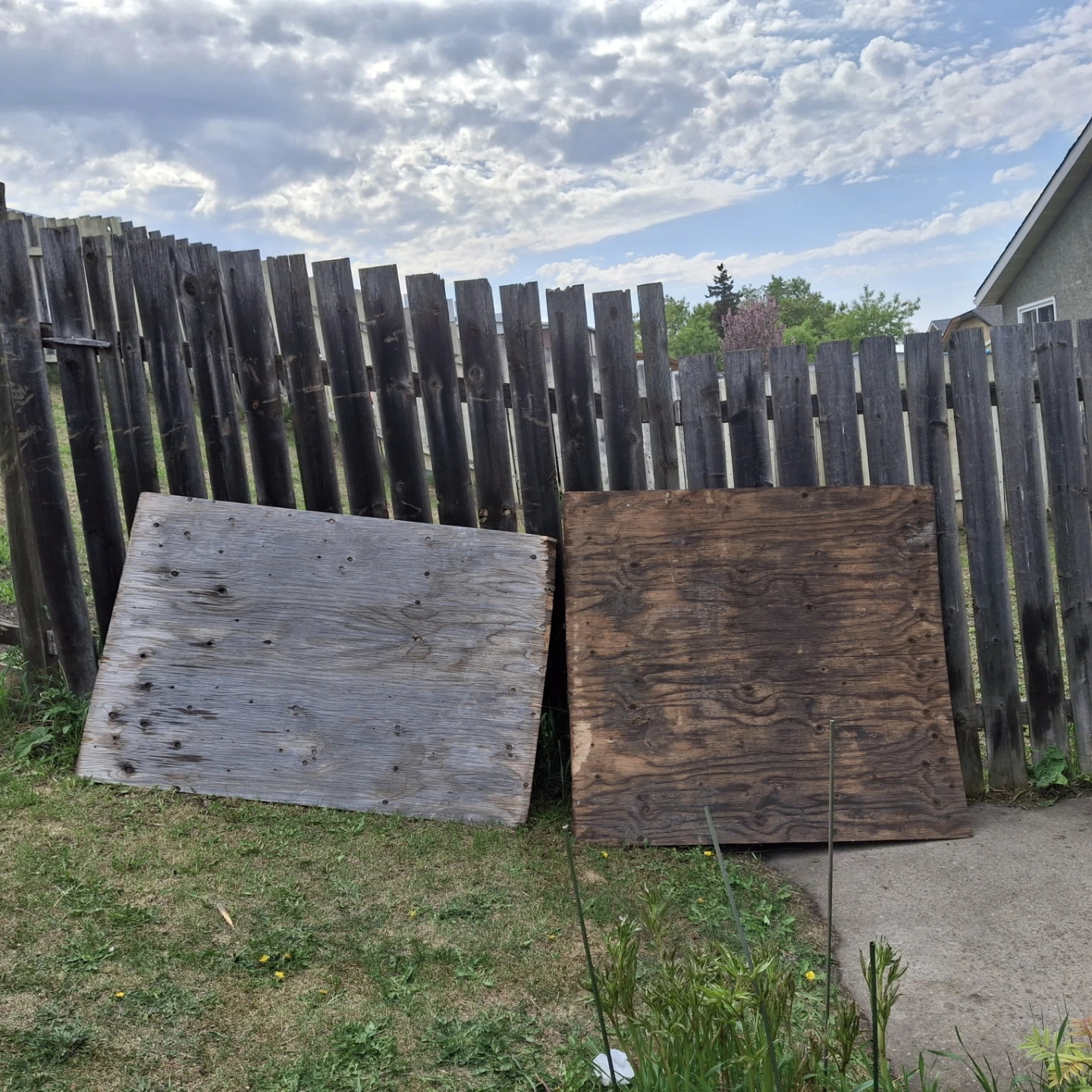Two Plywood Sheets * worn  and a bent on edge*