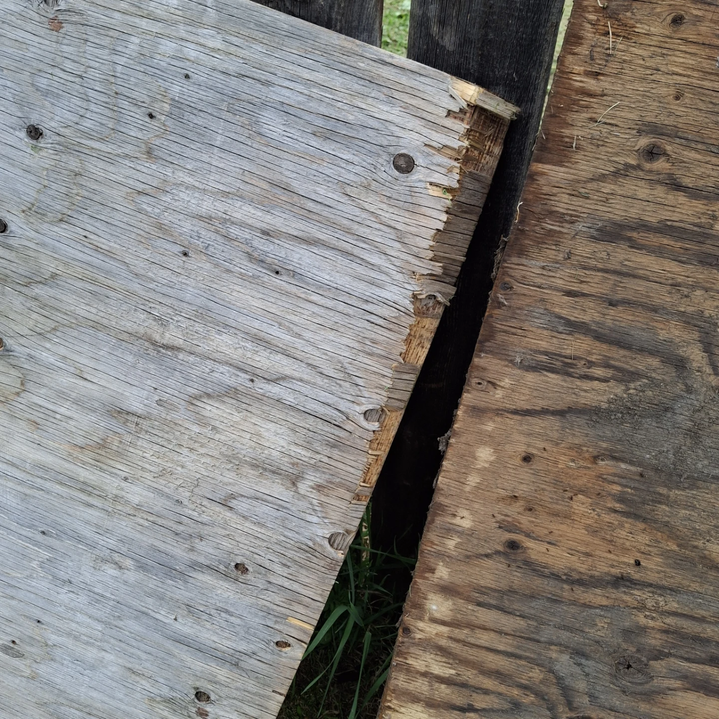 Two Plywood Sheets * worn  and a bent on edge* - photo 2