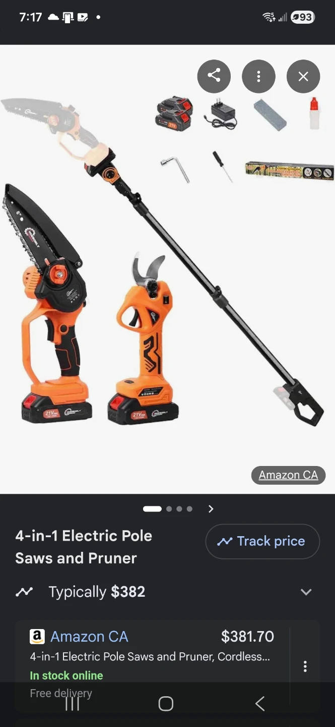 NEW 4-in-1 Cordless Pole Saw & Pruner Kit - Never Used