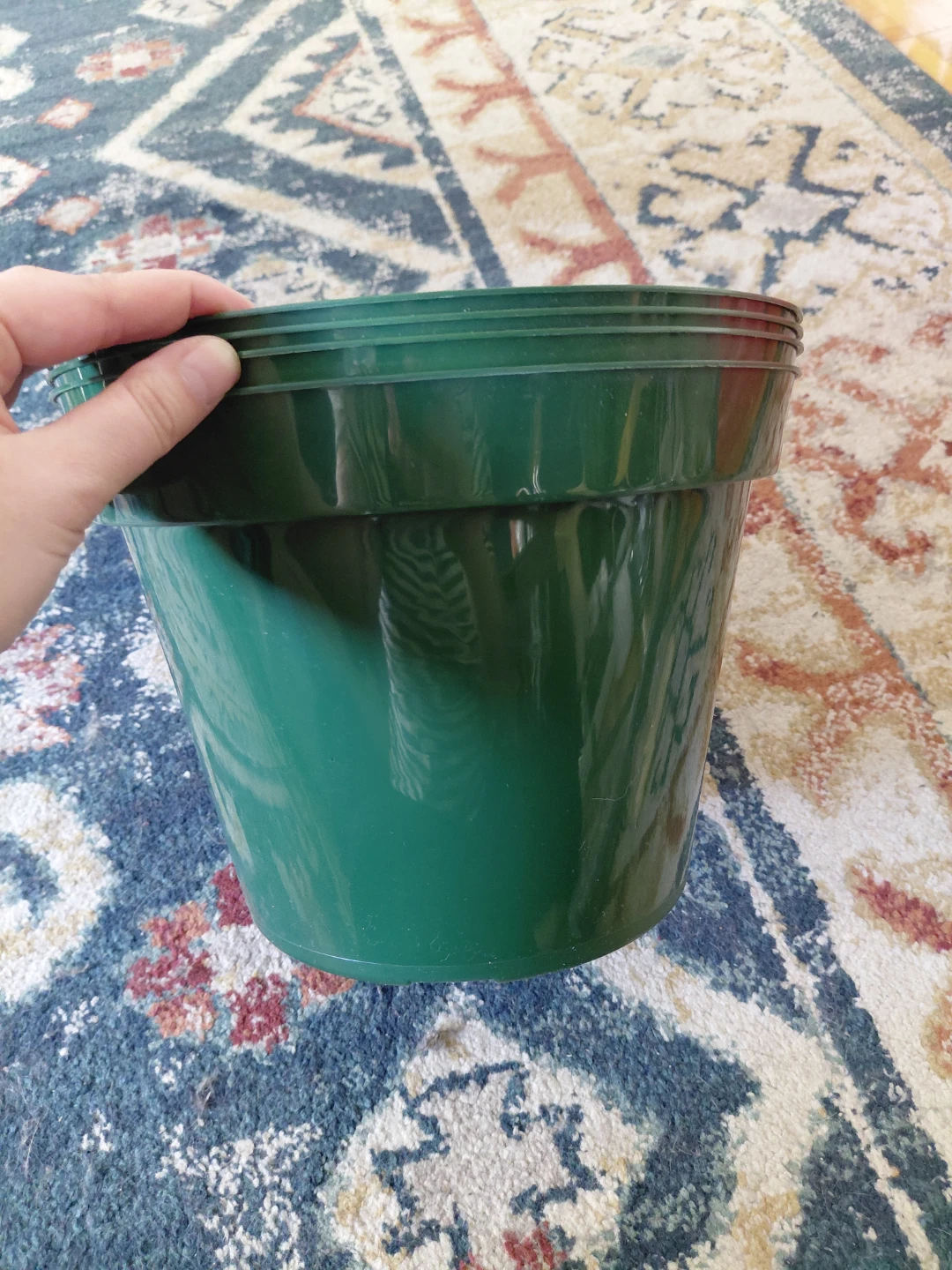 10" Green Round Plastic Pot - Set of 4