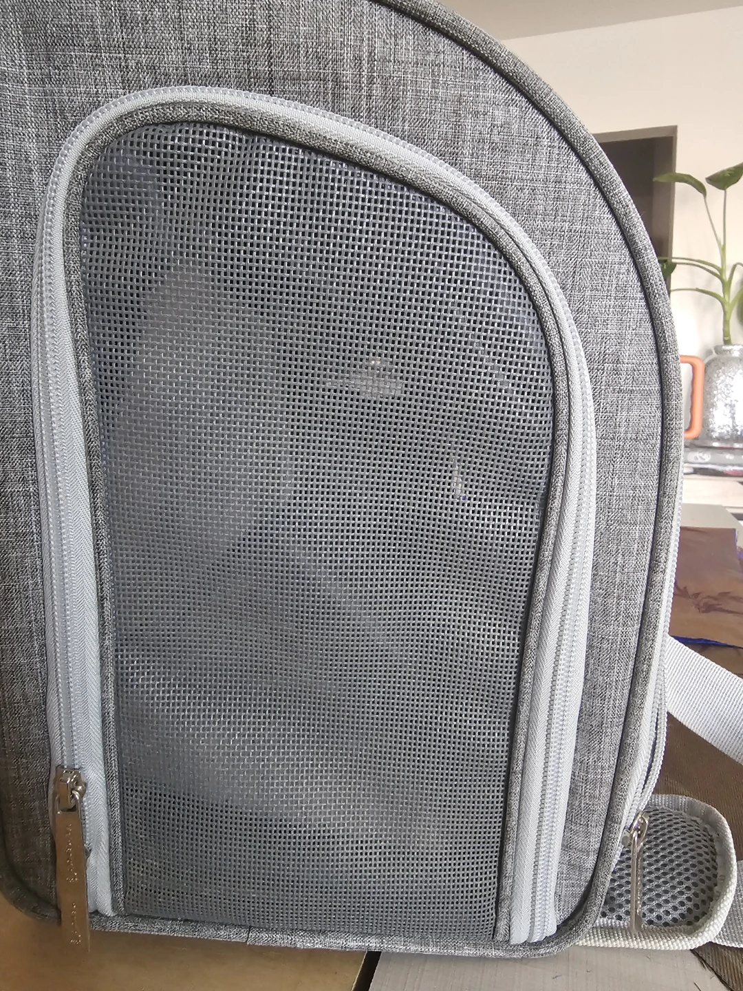 Mr. Peanut's Pet Carrier with 2 Collapsible Bowls - photo 4