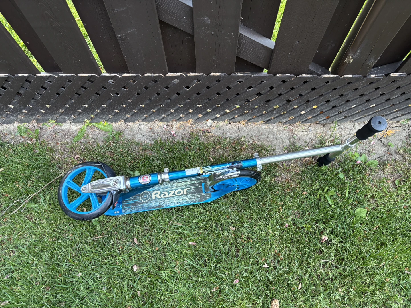 Razor Scooter - Blue