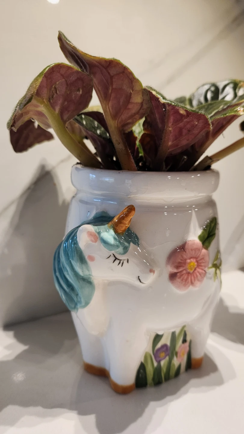 Upcycled Unicorn canister planter with plant - photo 2