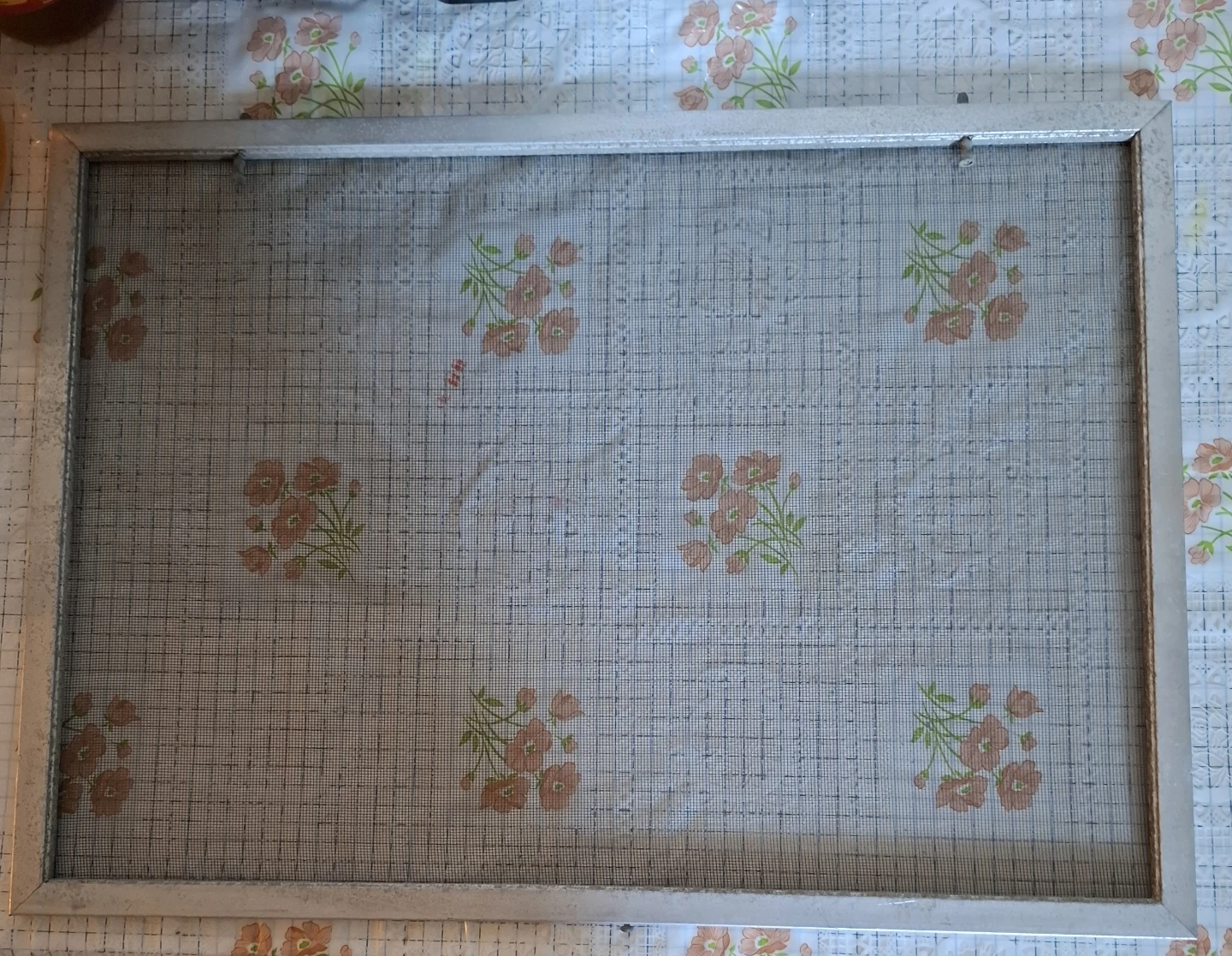 Window Screen