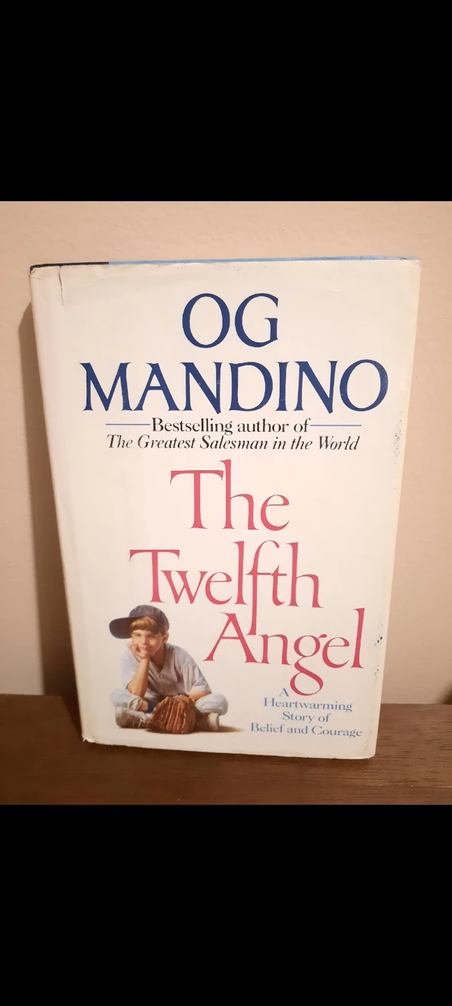 The 12th angel book