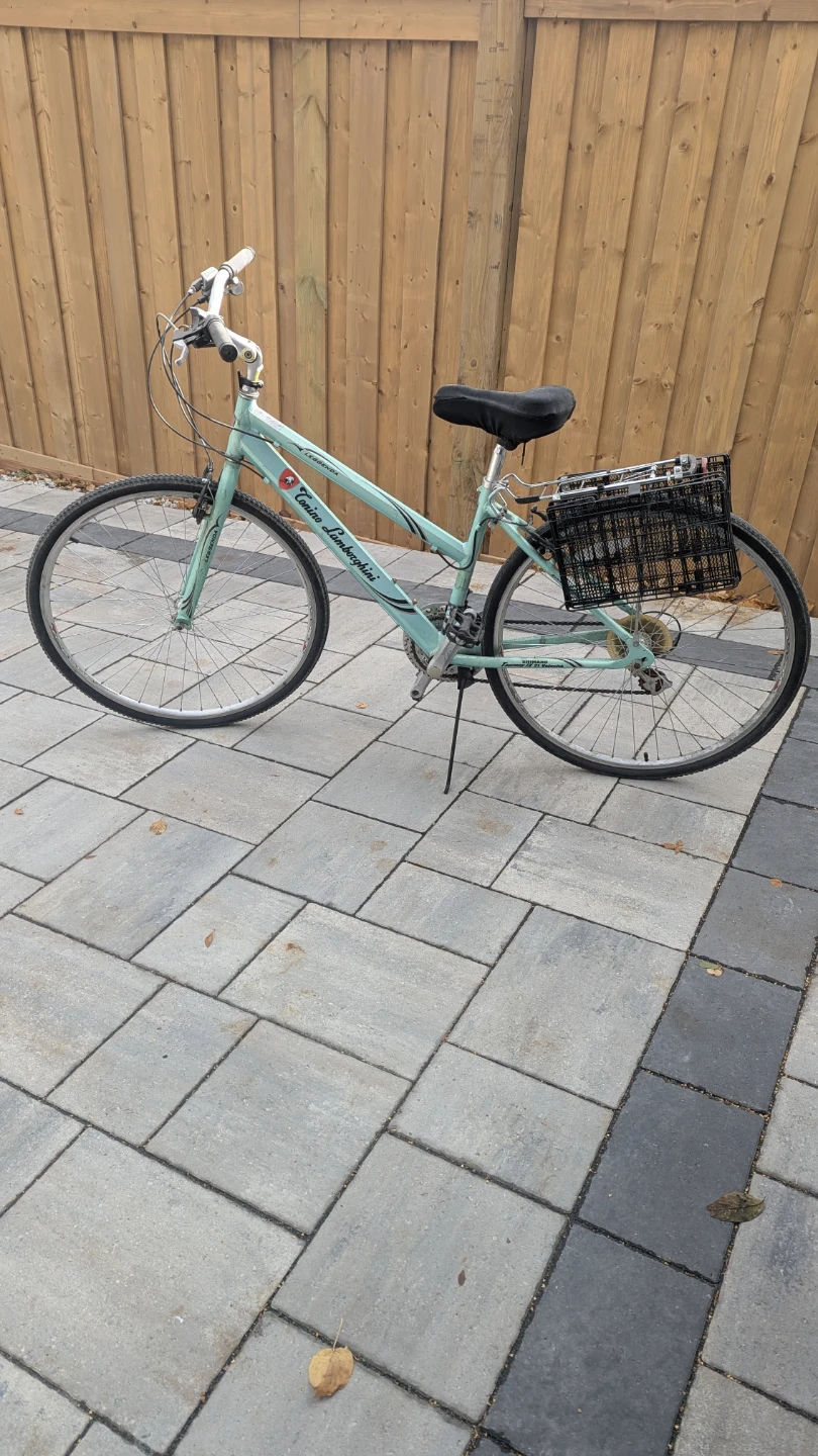 Vintage C-Trek Leggenda Women's Bicycle