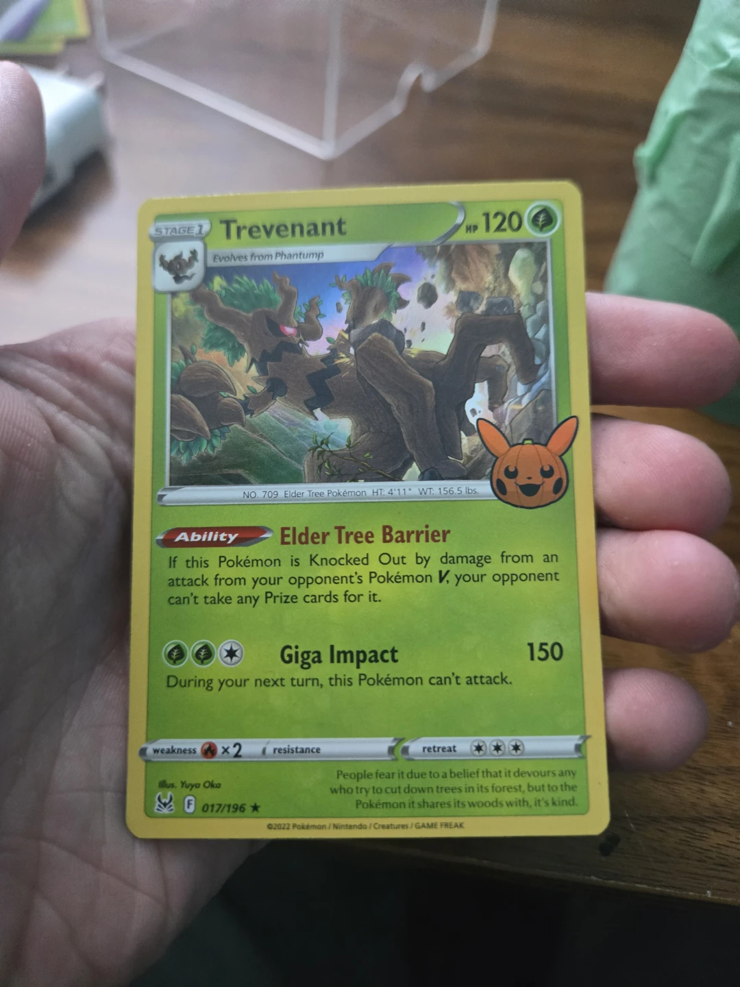 Pokemon Trading Card Game Cards