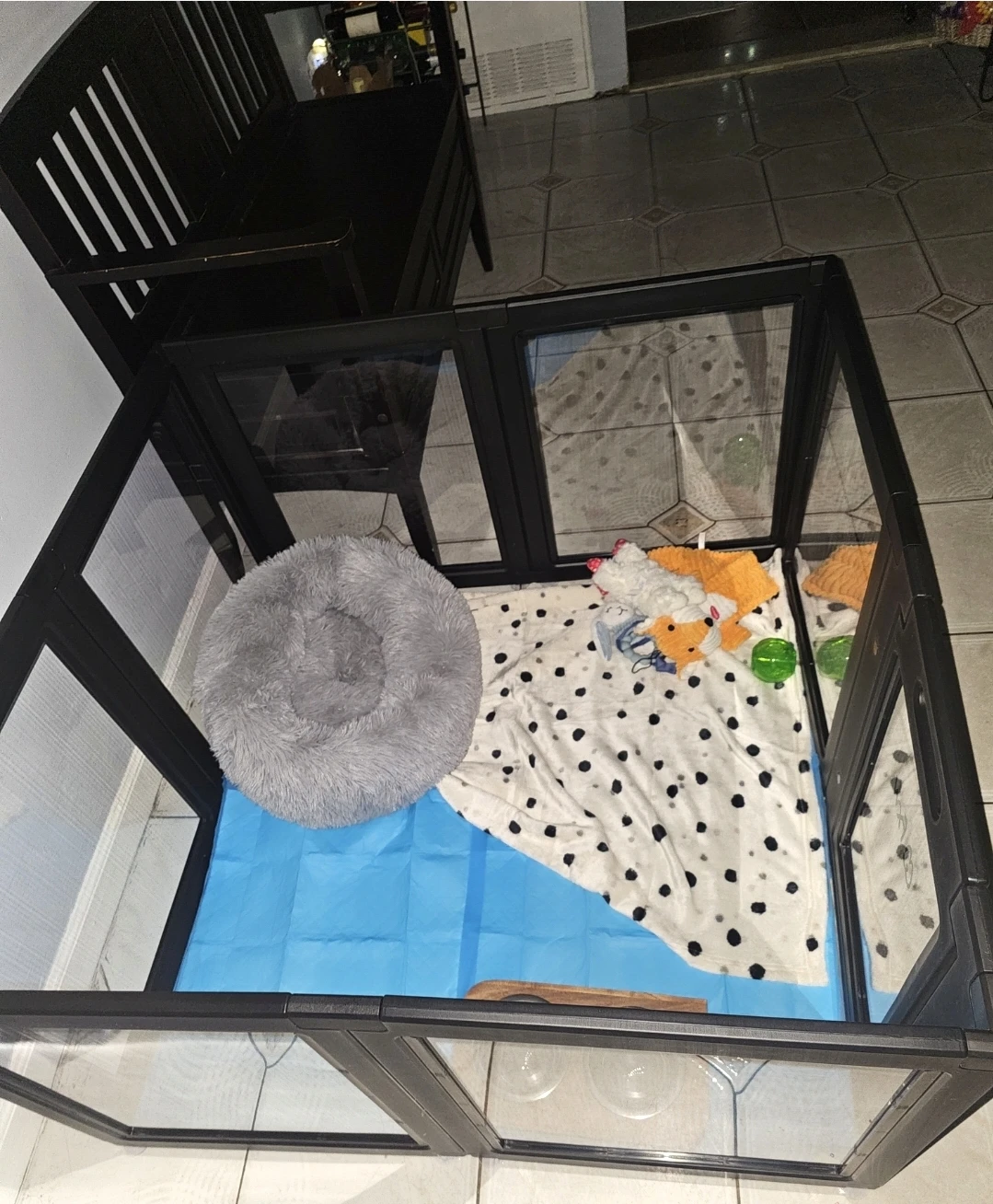 FXW AuraSpace Acrylic Indoor Dog Playpen -