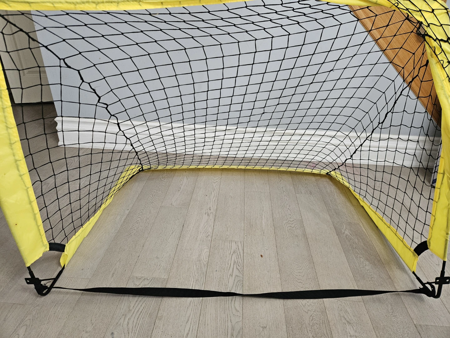 Youth Soccer Net - moving sale, must go!