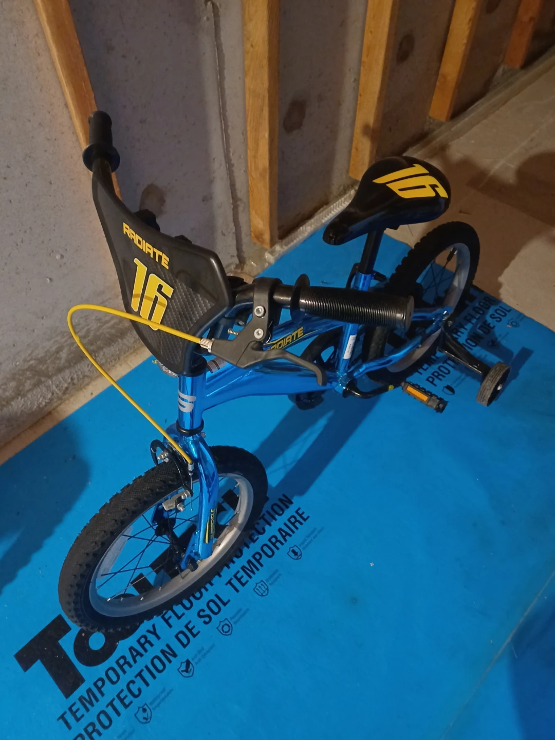 Radiate 16" Kids Bike with Training Wheels
