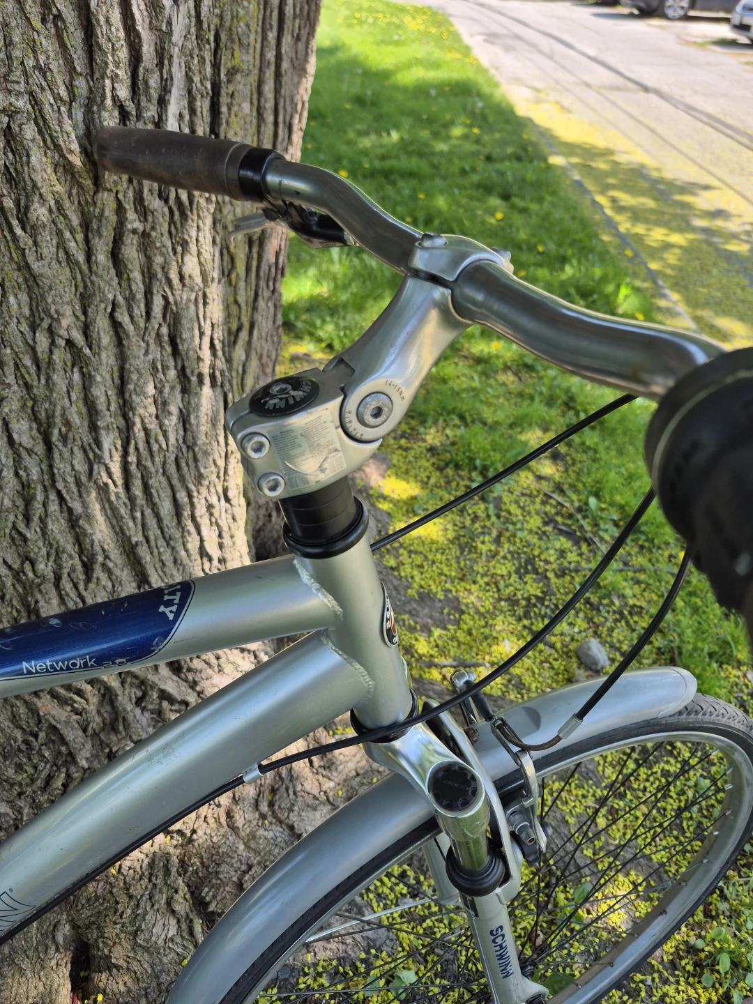 Schwinn Network Hybrid Bike 18" frame - photo 3