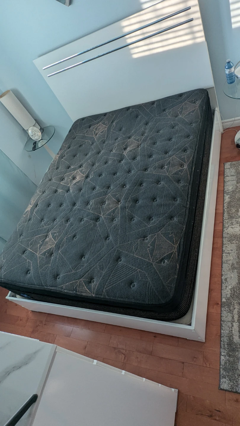 White bedframe & box spring