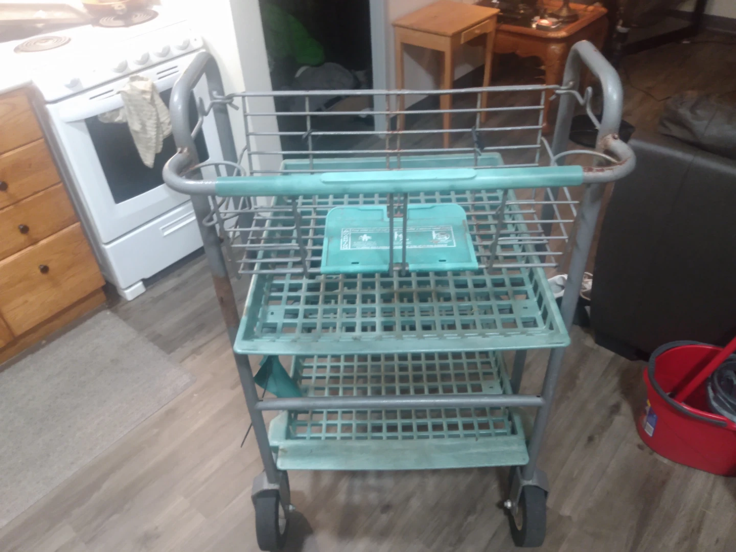 Metal Utility Cart with 3 Shelves
