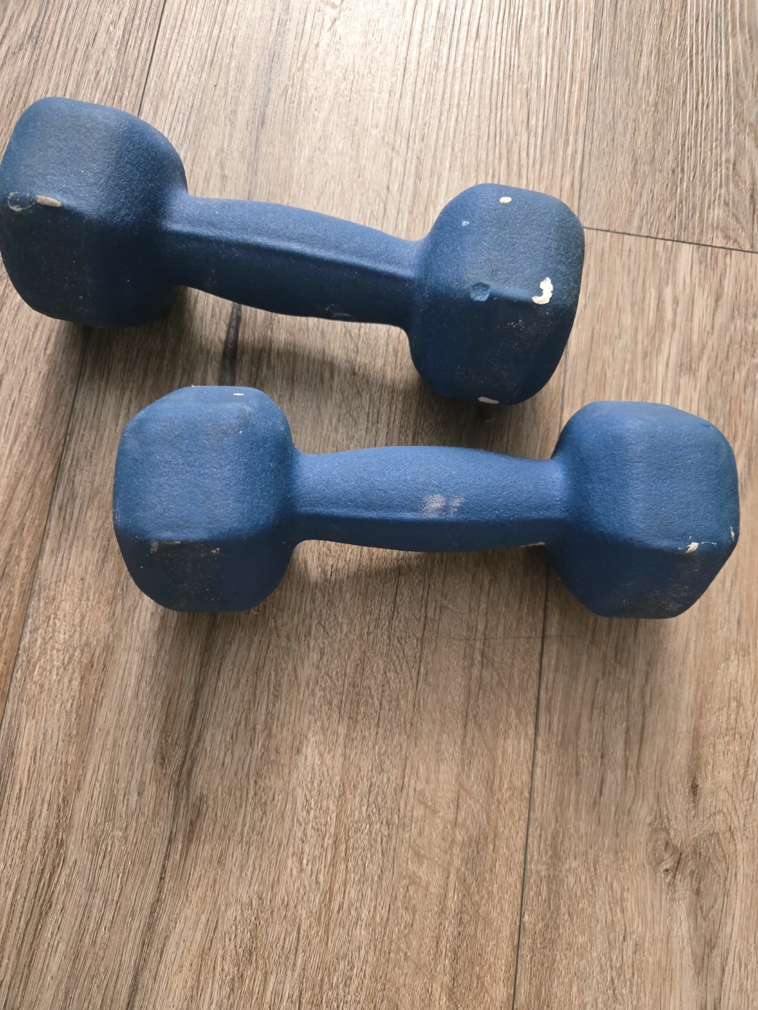 Pair of blue dumbbells
