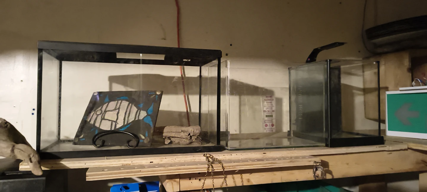 Read add- Lots of fish tank stuff available - photo 3