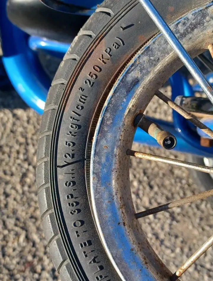 Schwinn Roadster, a classic-style trike