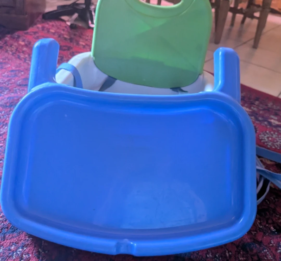 Fisher-Price Booster Seat - photo 5