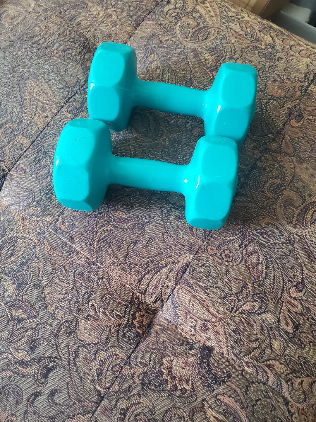 Teal Dumbbells (Pair)