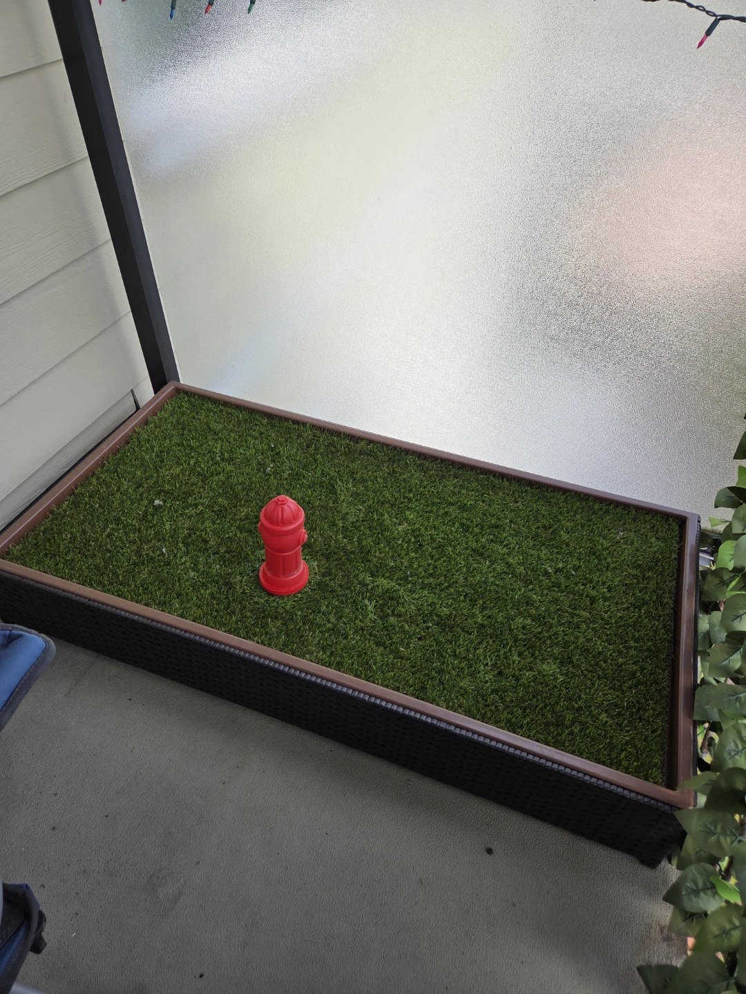 Porch Potty Standard Dog Potty for apartments