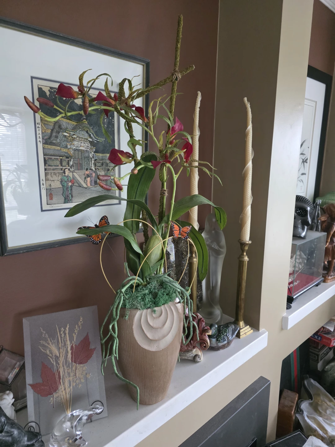 Orchid plant in decorative pot