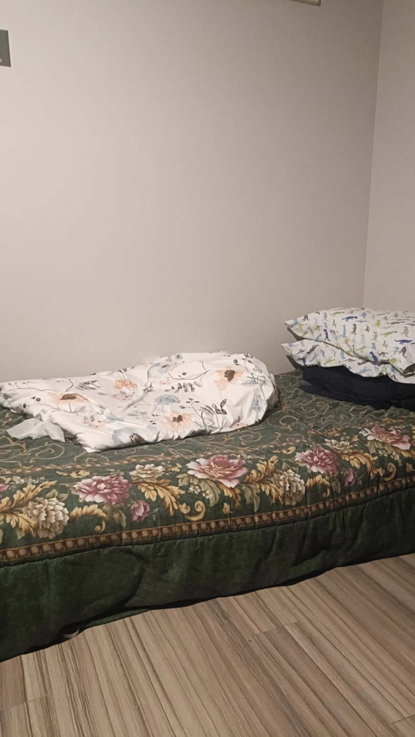 FREE single bed with frame, blankets and pillows