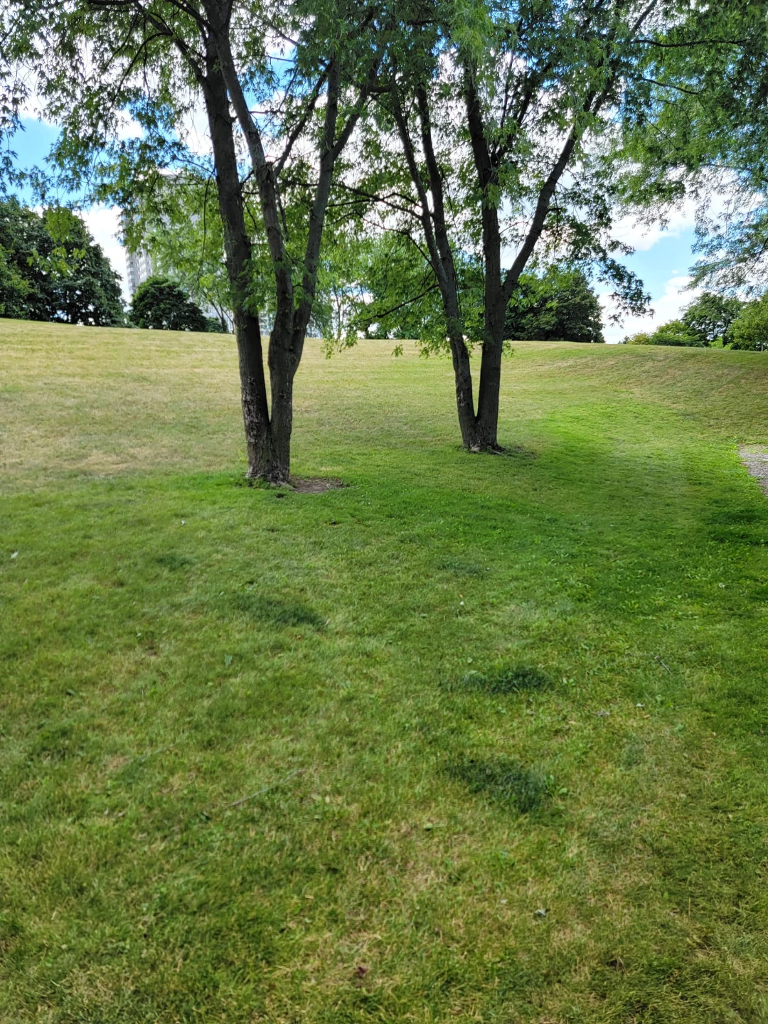 Rental - photo 3