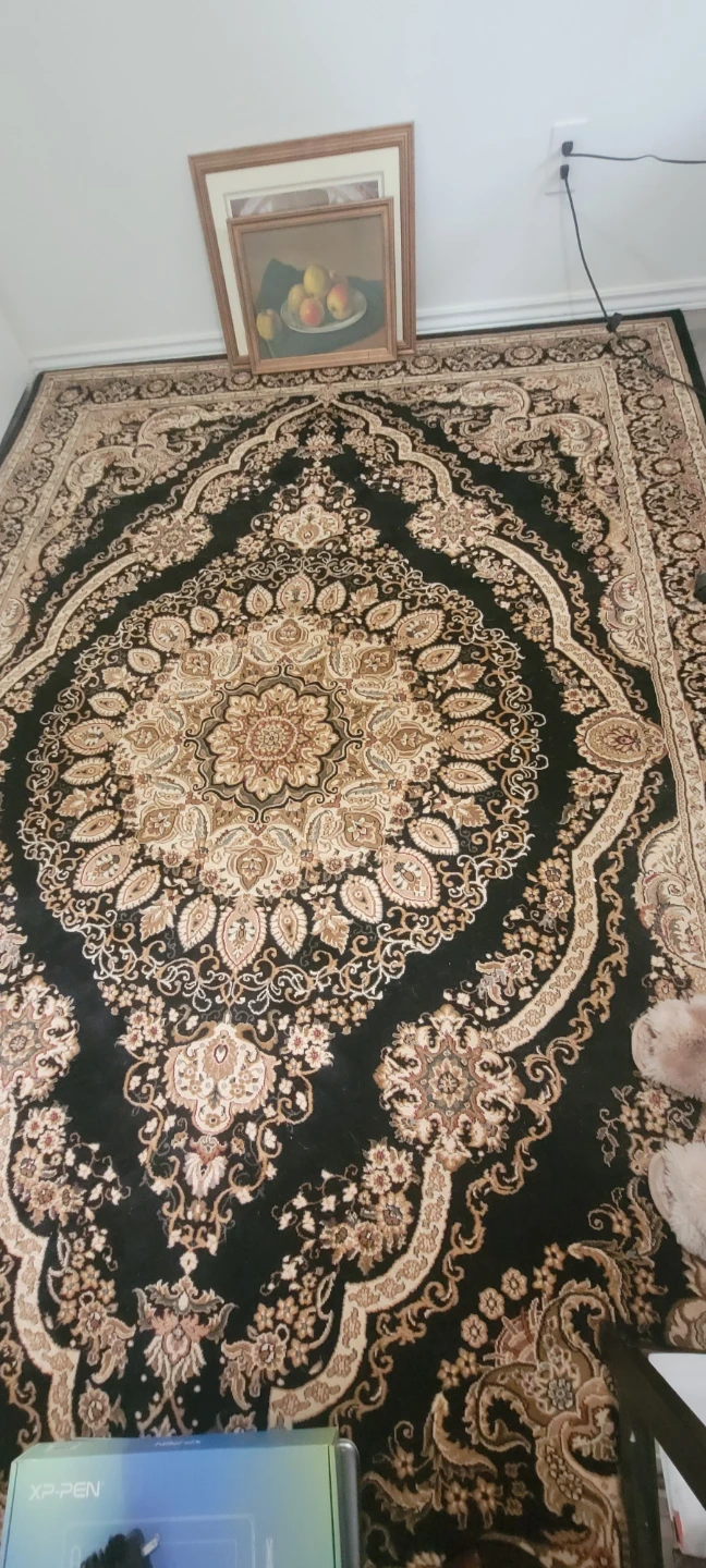 Persian Style Area Rug