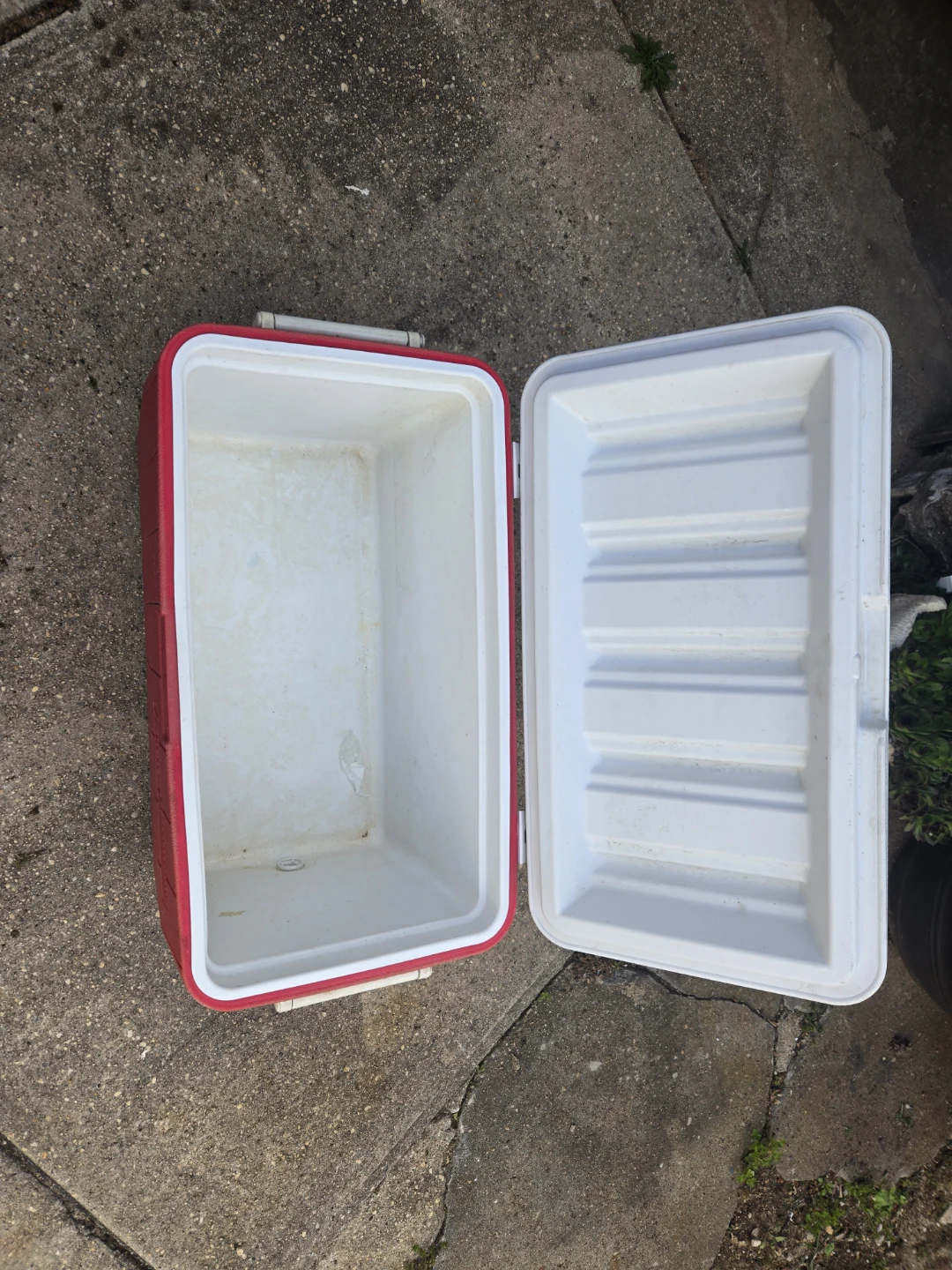 Coleman Red Cooler