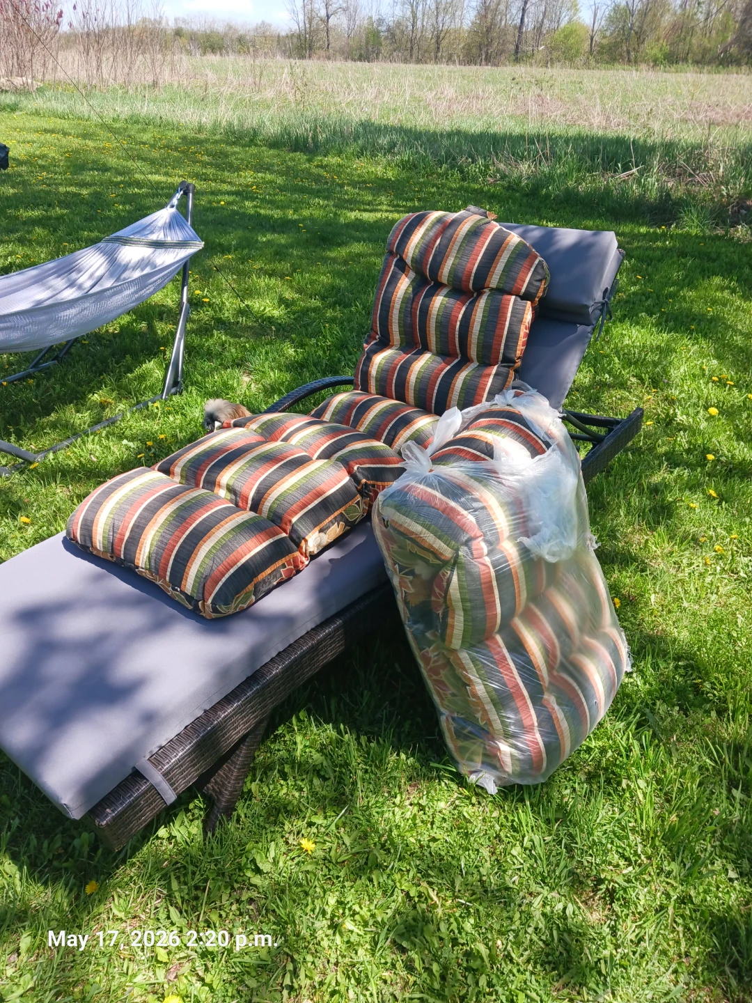 Chaise Lounge Cushions Set - photo 2