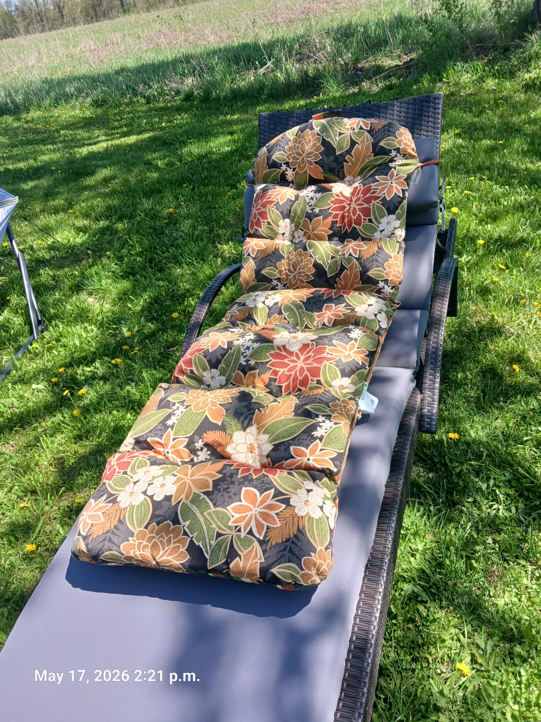 Chaise Lounge Cushions Set - photo 4