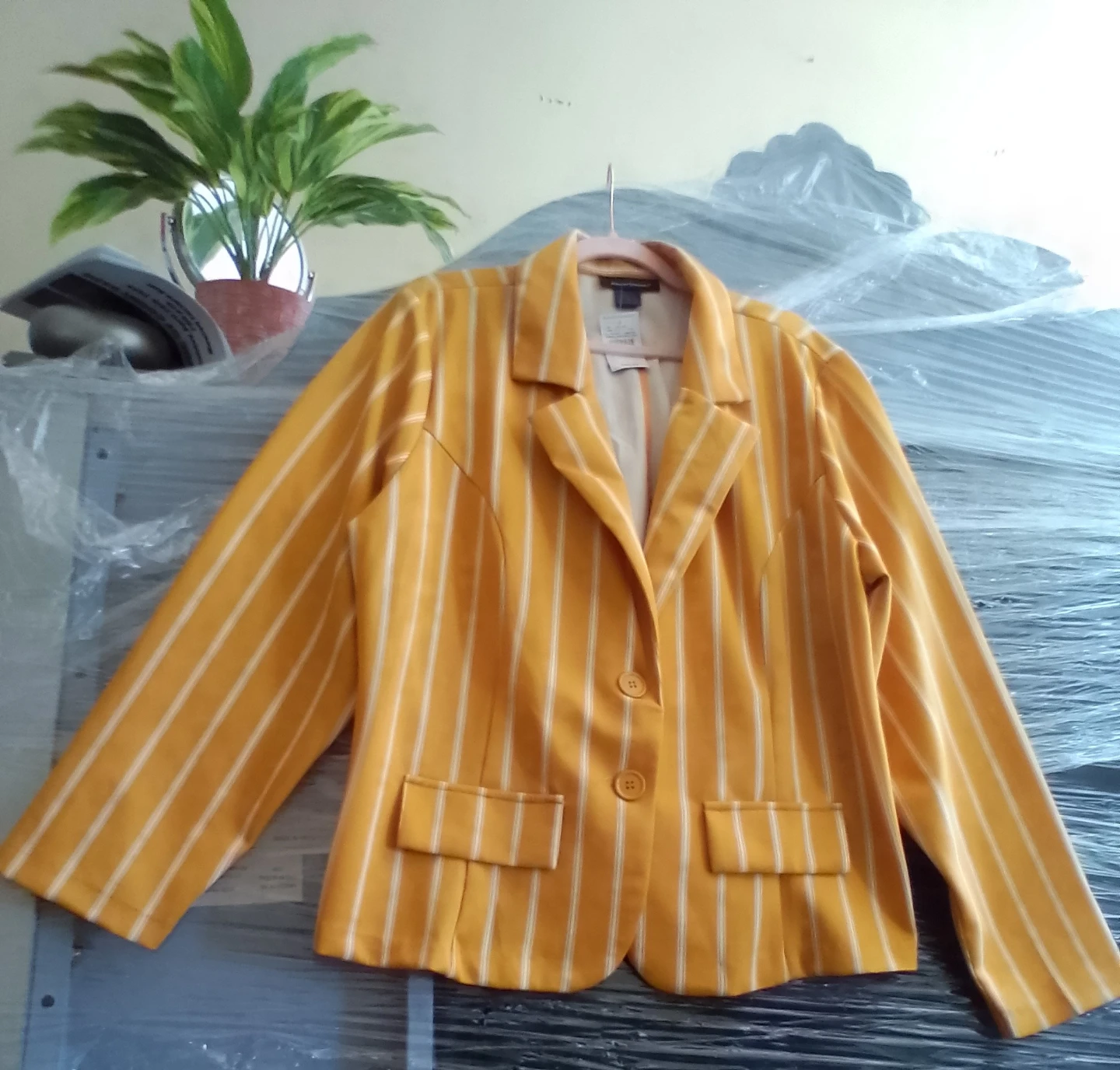 Yellow Stripe Blazer