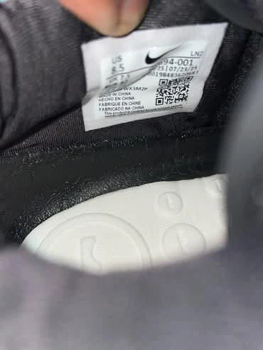Lebron witness 23 - photo 5