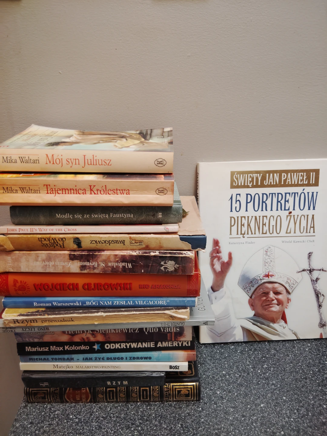 Large Bundle of Polish Books