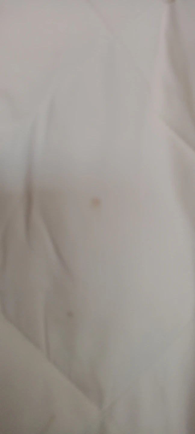 BCBG Generation Cream Puffer Coat with Hood - photo 4