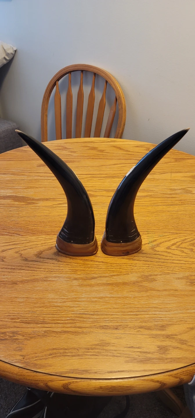 Decorative Horns with Banff Canada Carving - photo 3
