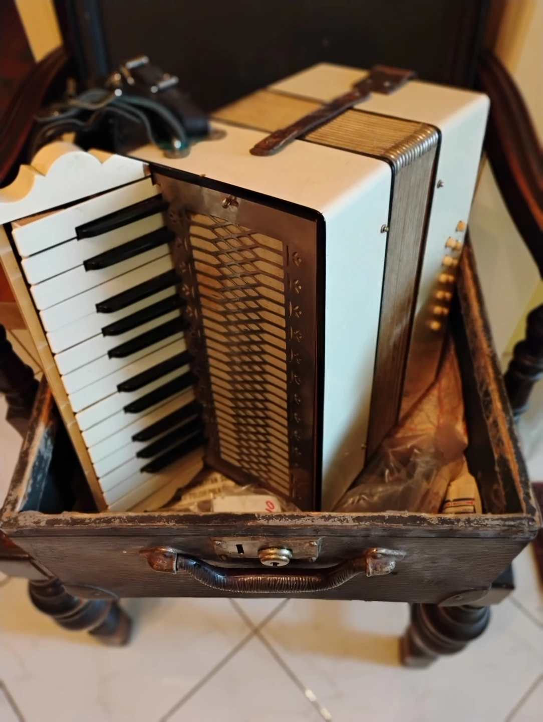 Vintage accordion