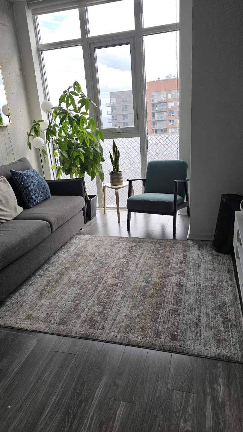 Area Rug