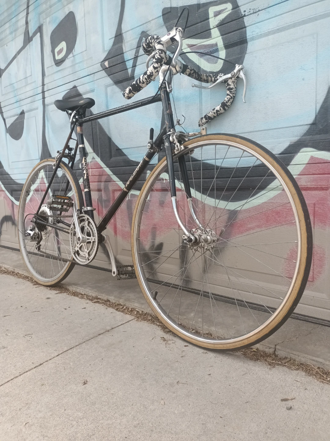 Raleigh Road Bike