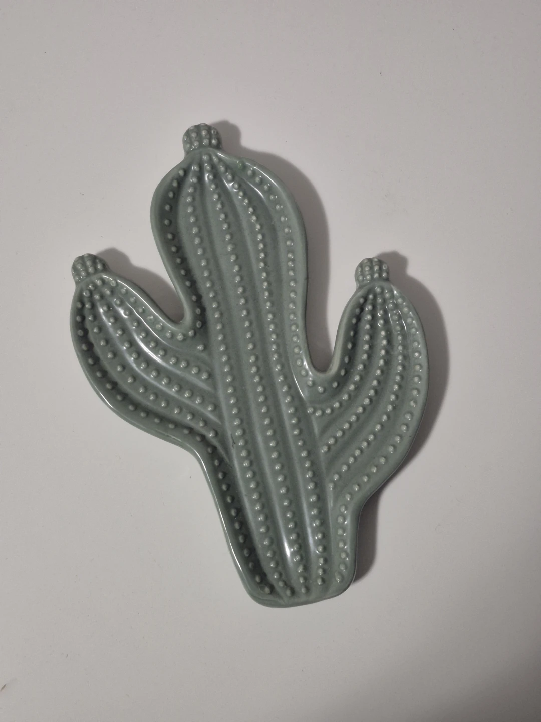 Cactus Collection Ceramic Dish