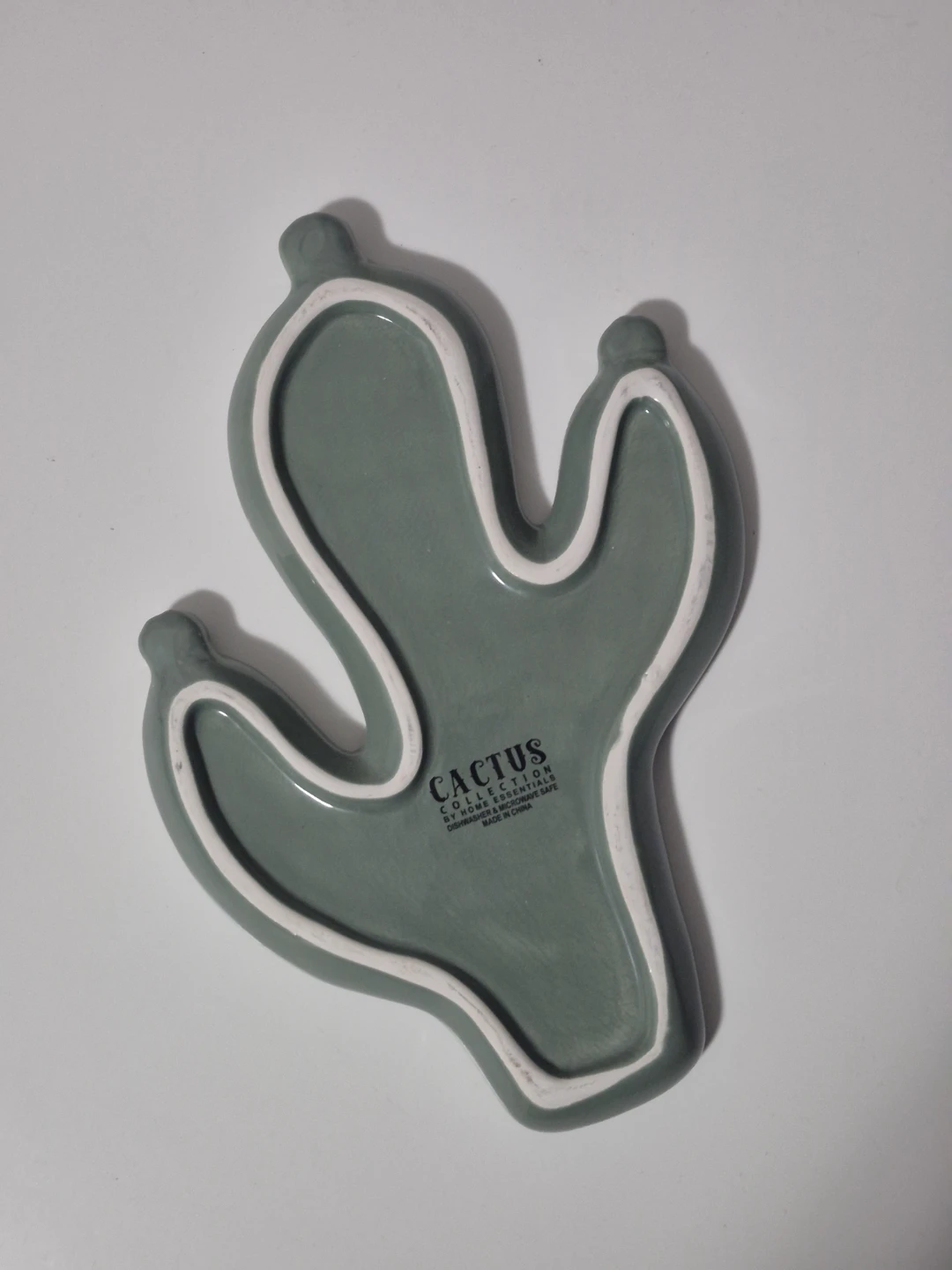 Cactus Collection Ceramic Dish - photo 2
