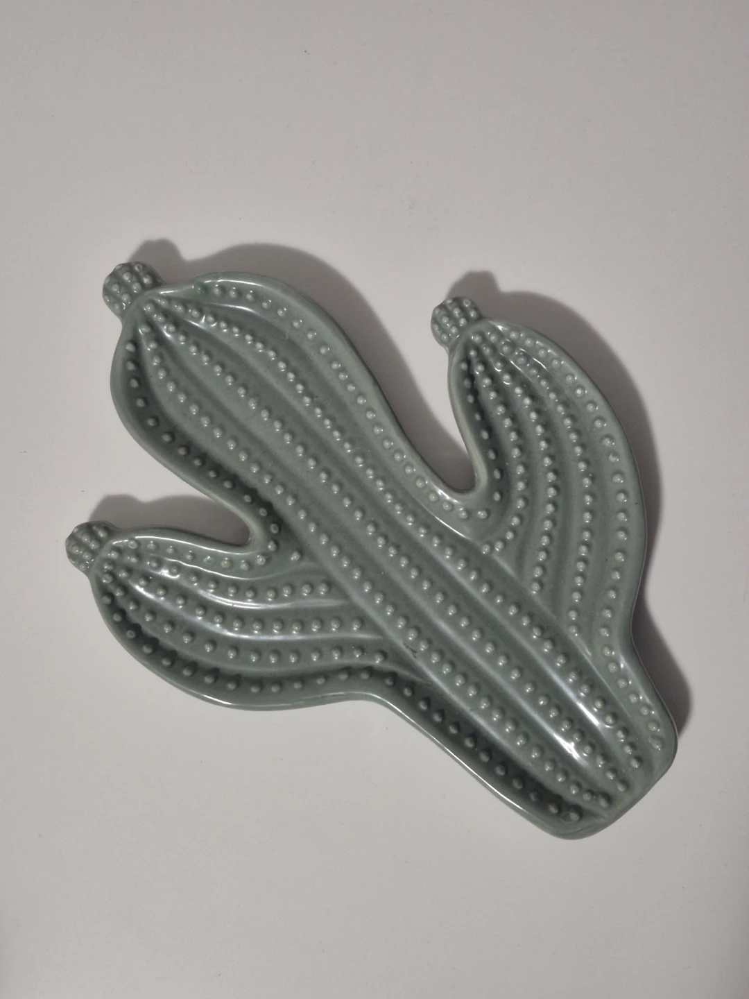 Cactus Collection Ceramic Dish - photo 3
