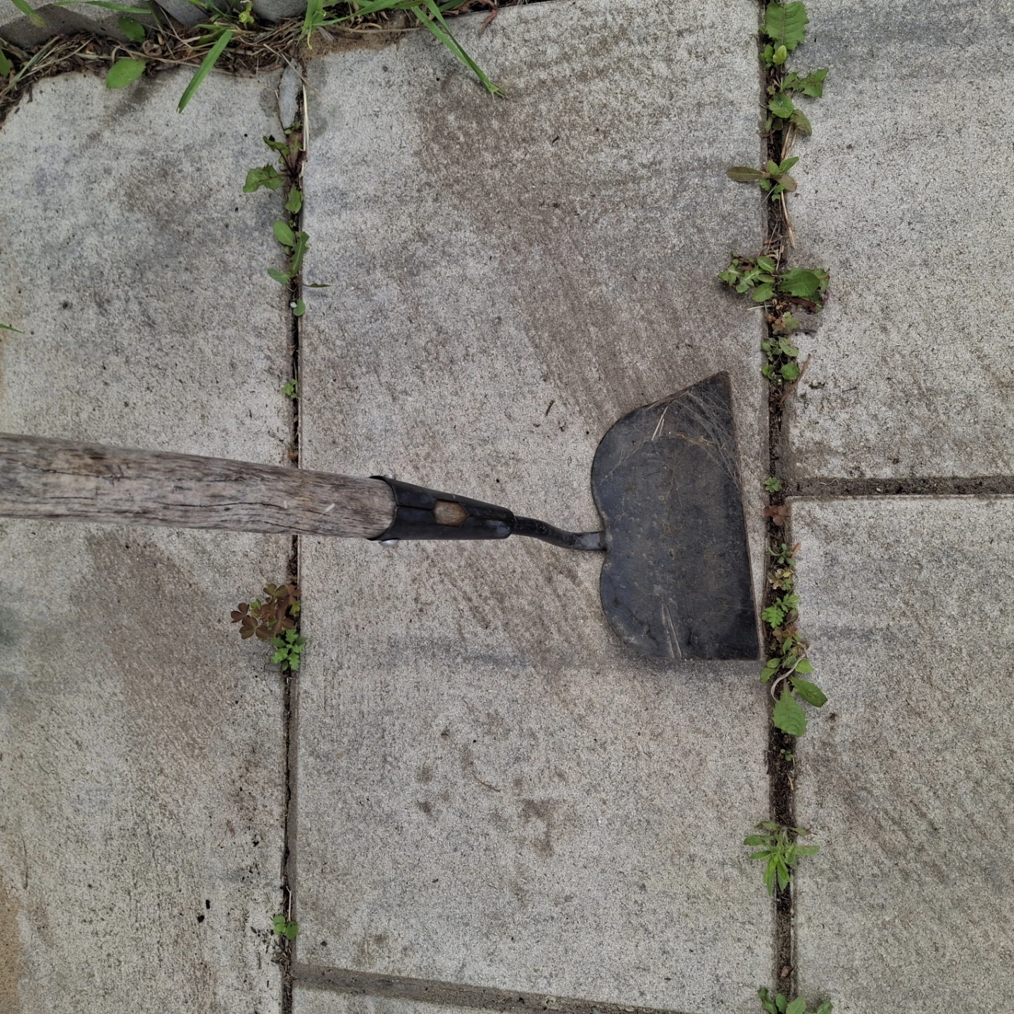 Garden Hoe Tool